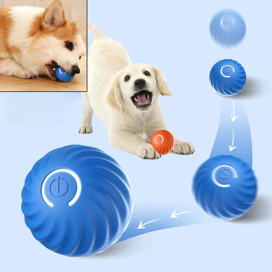 Automatic Rolling Dog Ball — Keeps Your Dog Busy & Active